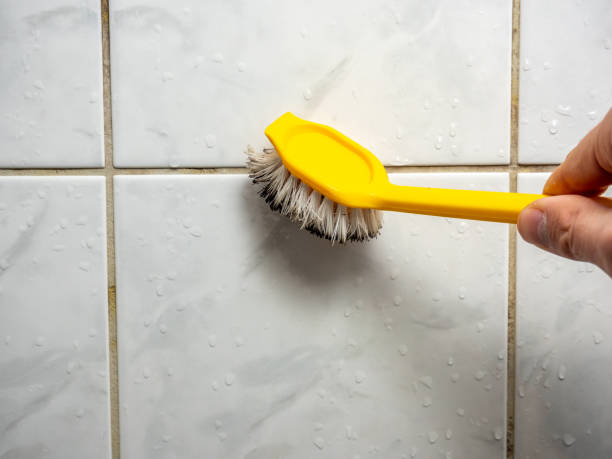 Best DIY Mold Remediation Support Services in Lakewood, IL